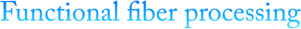 Functional fiber processing