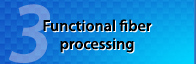 Functional fiber processing