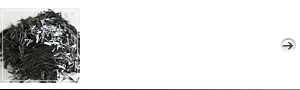 Functional fiber processing