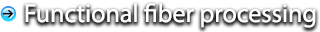 Functional fiber processing